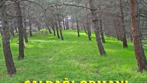 TURÇEP’TEN BİLGİLENDİRME TOPLANTISI