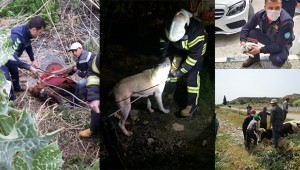 Onlar tam bir 'Cankurtaran' 