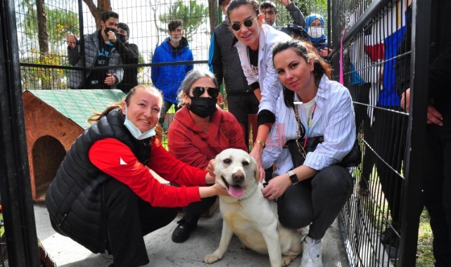 TSK'nın bomba arama köpeği Afi öğrencilerin 'can dostu' oldu