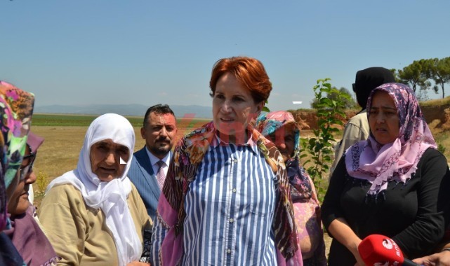 Akşener: Marmara Gölü'nün kurtarılması için girişimlerde bulunacağız