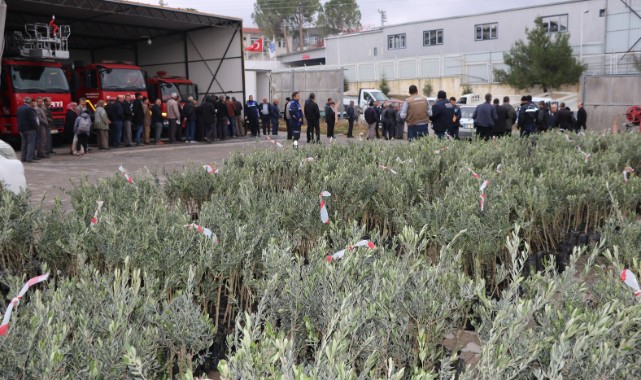14 Bin 100 Adet Zeytin Fidanı Üreticiyle Buluştu