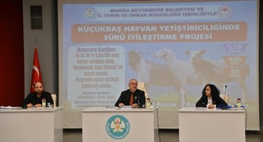 Manisa'da 58 bin büyükbaş hayvanın dış parazit ilacı büyükşehirden