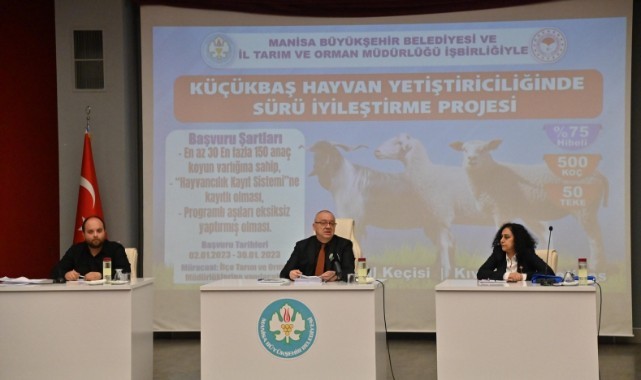 Manisa'da 58 bin büyükbaş hayvanın dış parazit ilacı büyükşehirden