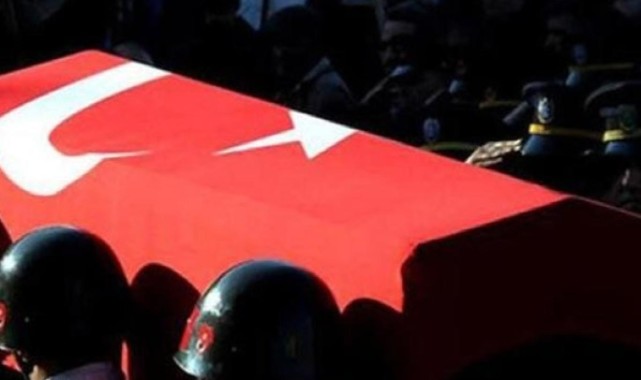 Mardin'de teröristlerle çıkan çatışmada 1 jandarma şehit oldu   