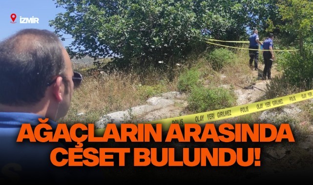 Ağaçların arasında ceset bulundu!