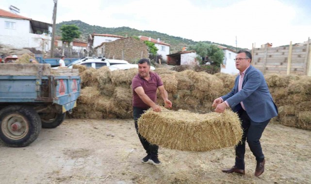 Alaşehir Belediyesi kırsal mahallerde saman dağıttı
