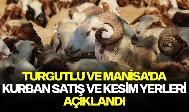 Turgutlu ve Manisa'da kurban satış ve kesim yerleri açıklandı