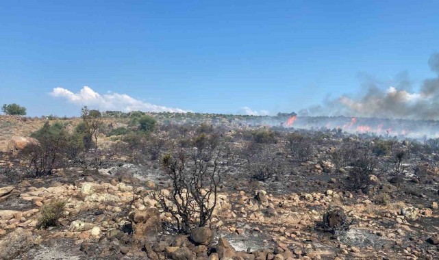 Aliağa'da makilik yangını havadan ve karadan müdahale ile kontrol altına alındı