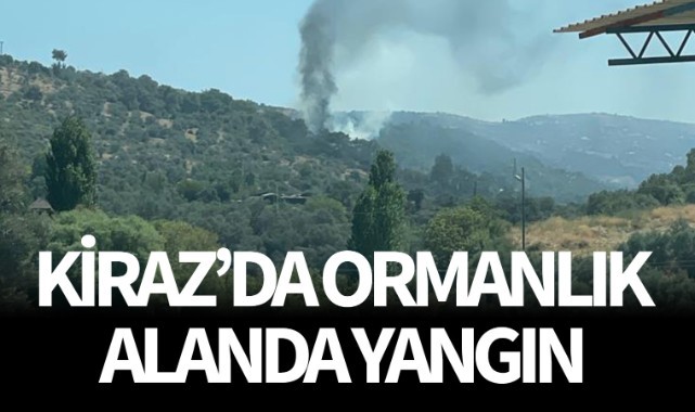 İzmir'de ormanlık alanda yangın