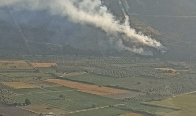 Manisa'da orman yangını bir saatte kontrol altına aldı 