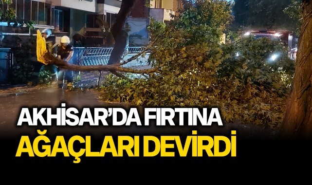 Akhisar'da fırtına ağaçları devirdi