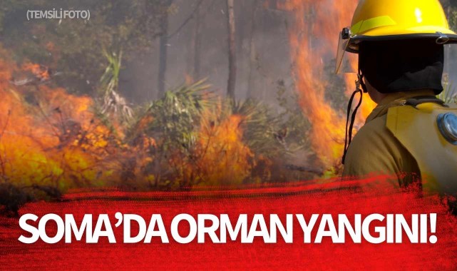 Manisa'nın Soma ilçesinde orman yangını çıktı