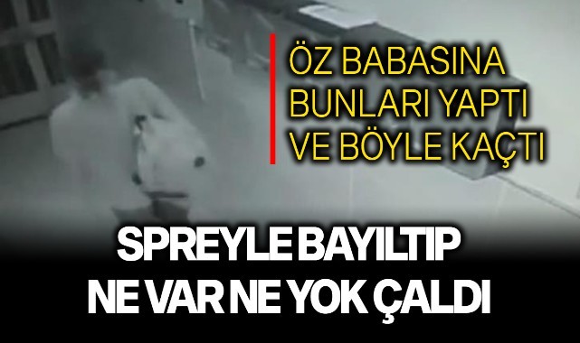 Spreyle bayıltıp ne var ne yok çaldı