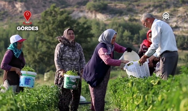 Suyla buluşan topraklarda çeşit arttı, hasat bereketlendi