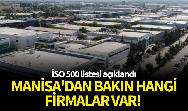 Türkiye'nin en büyük sanayi kuruluşları açıklandı: Manisa'dan bakın hangi firmalar var!