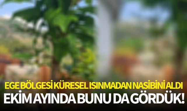 Ekim ayında bunu da gördük!