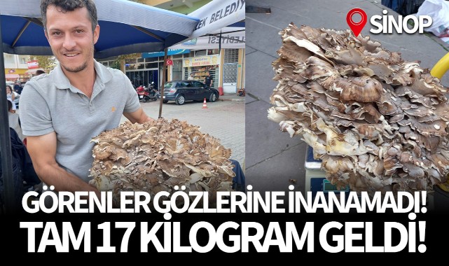 Görenler gözlerine inanamadı! Tam 17 kilo...