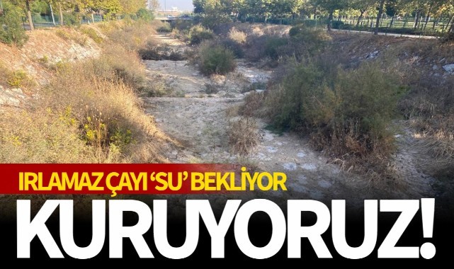 Irlamaz Çayı 'Su' Bekliyor: Kuruyoruz!