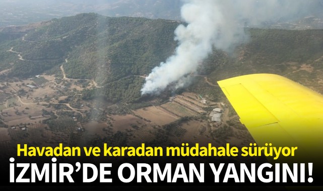 İzmir'de orman yangını!