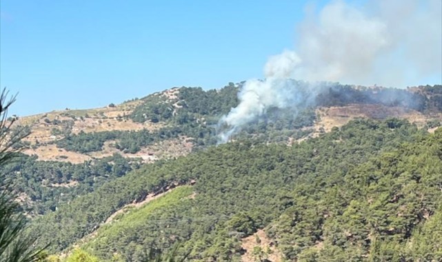 İzmir'de orman yangınına müdahale ediliyor