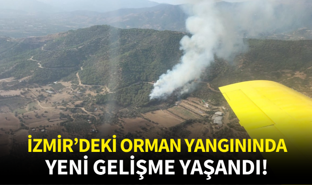 İzmir'deki orman yangınında yeni gelişme!
