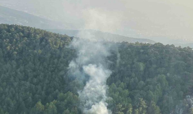 İzmir'de orman yangını: 58 dakikada kontrol altına alındı
