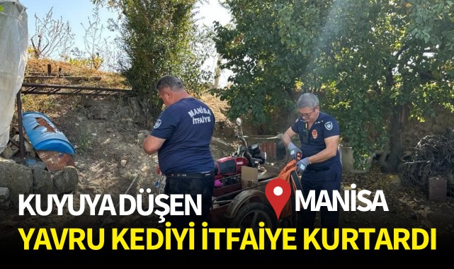 Kuyuya düşen yavru kediyi itfaiye kurtardı