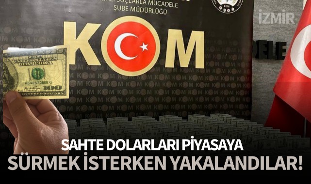 Sahte dolarları piyasaya sürmek isterken yakalandılar!