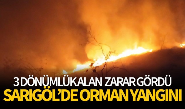 Sarıgöl'de orman yangını