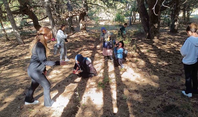 Spil Dağı, eğitim uygulama sahası olarak tercih ediliyor