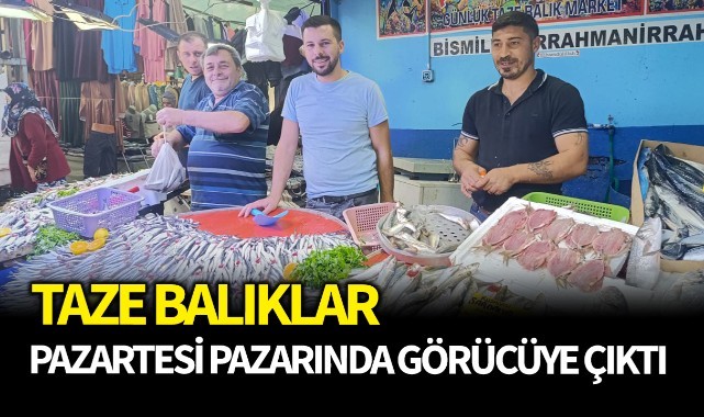 Taze balıklar pazartesi pazarında görücüye çıktı