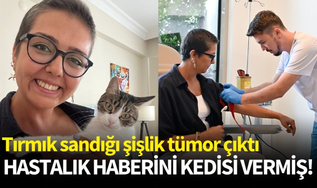 Tırmık sandığı şişlik tümor çıktı... Hastalık haberini kedisi vermiş!