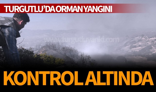 Turgutlu'da orman yangını kontrol altında