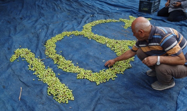 Zeytin işçileri, Cumhuriyetin 100. Yılını kutladı