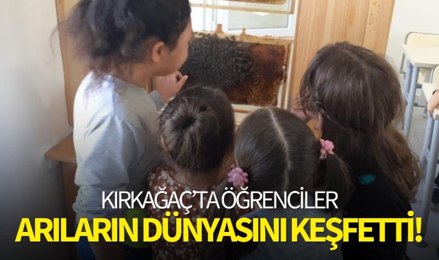 Arıların dünyasını keşfettiler!