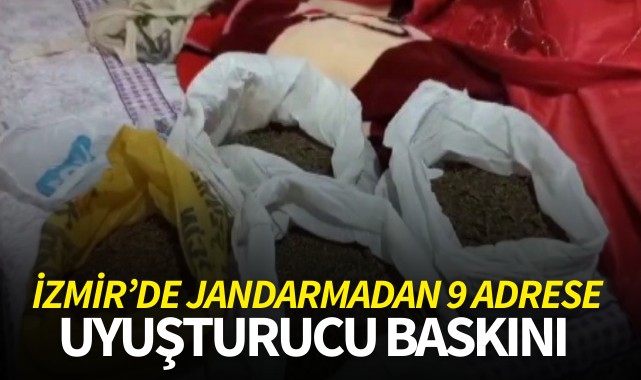 İzmir'de jandarmadan 9 adrese uyuşturucu baskını