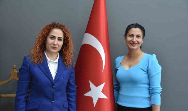 İzmirli öğrenciler sokak hayvanlarına barınak yaptı