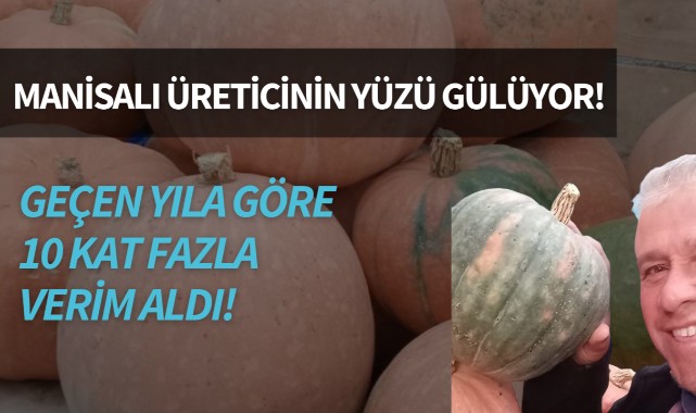 Manisalı üreticinin yüzü gülüyor!