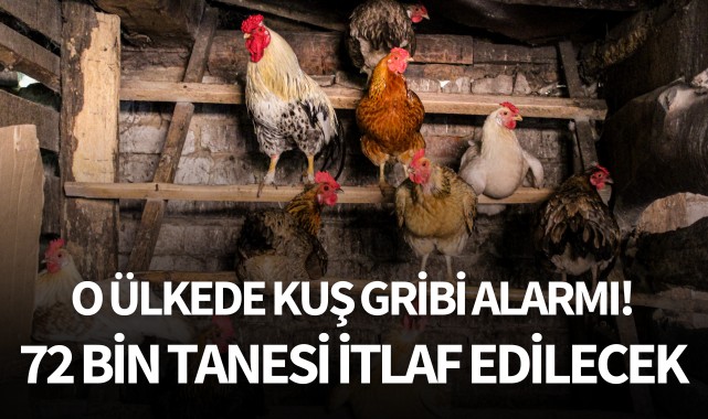 O ülkede kuş gribi alarmı!