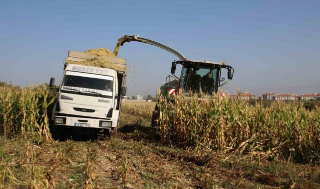 Şehzadeler Belediyesi'nden üreticiye silajlık yem desteği