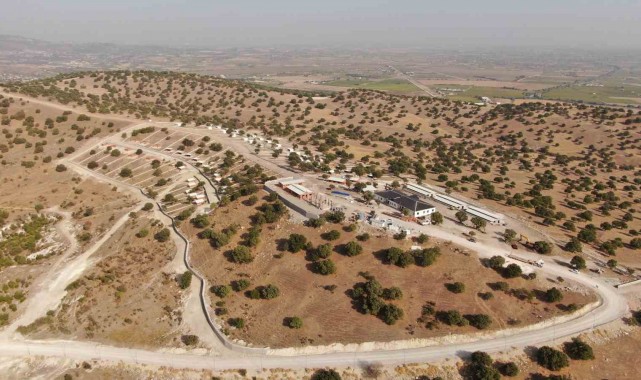 Sokak hayvanları için yapılan projede sona yaklaşılıyor