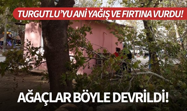 Turgutlu'yu ani yağış ve fırtına vurdu: Ağaçlar böyle devrildi!