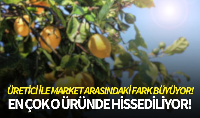 Üretici ile market arasındaki fark büyüyor!