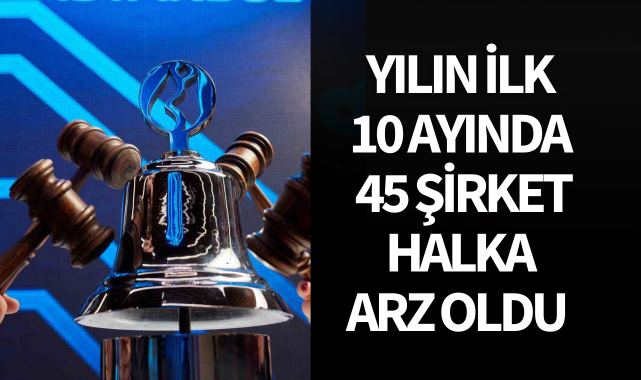 Yılın ilk 10 ayında 45 şirket halka arz oldu