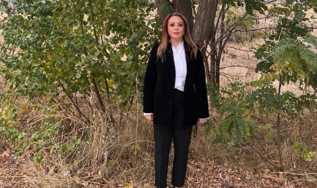Zeytin ve yağı kalbi koruyor, kalp krizi riskini azaltıyor