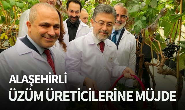 Alaşehirli üzüm üreticilerine müjde