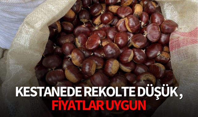 Kestanede rekolte düşük,fiyatlar cebe uygun