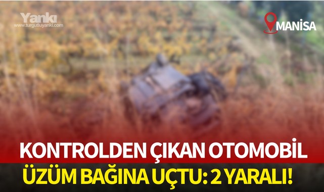 Kontrolden çıkan otomobil üzüm bağına uçtu: 2 yaralı!