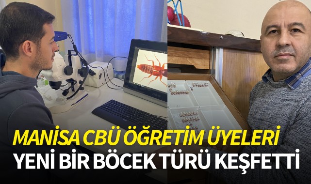 Manisa CBÜ öğretim üyeleri yeni bir böcek türü keşfetti