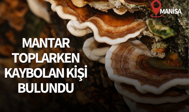 Manisa'da mantar toplarken kaybolan kişi bulundu